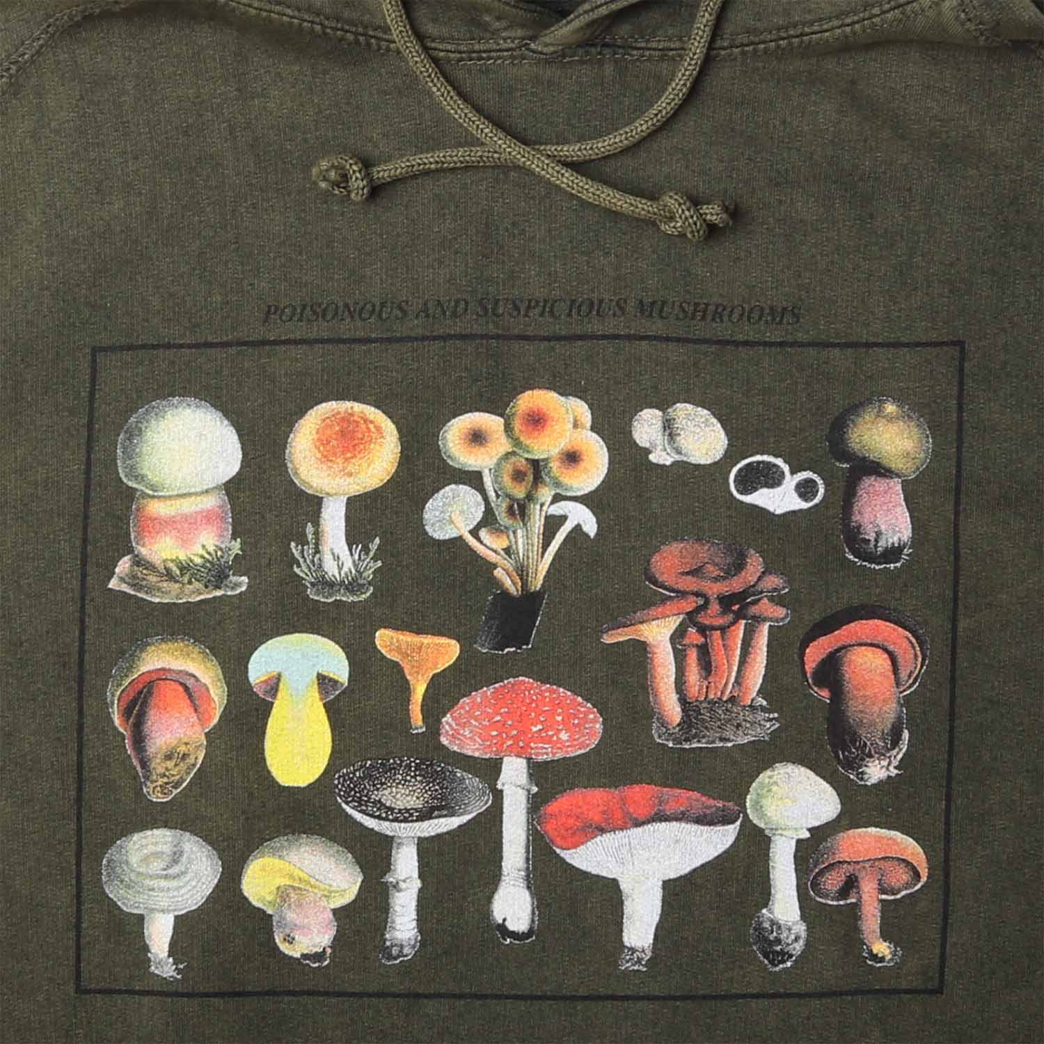 Altru Apparel's Mushroom species graphic screen printed on chest. Pigment dye hoodie processed for a vintage look and feel on a smoke green relaxed fit men's hoodie.   Closeup photo of mushrooms graphics.