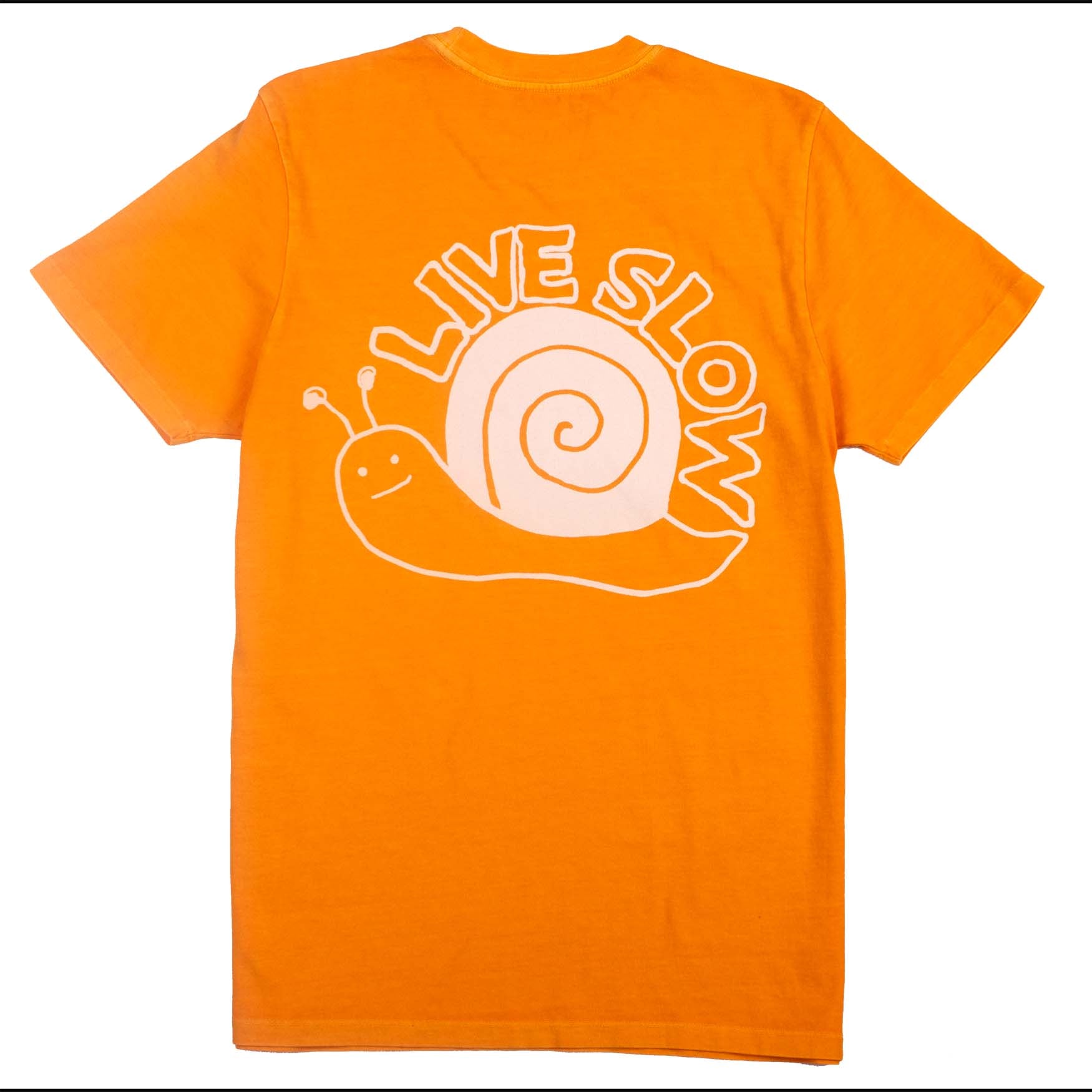 LIVE SLOW SNAIL tee