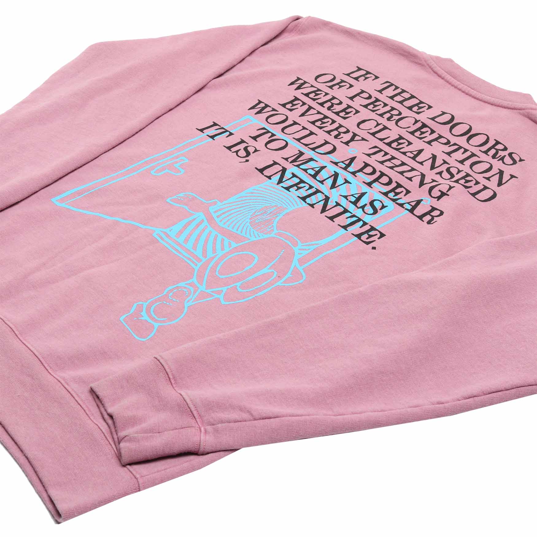 up close detail 4 of Altru mens pink fleece sweatshirt with a skeleton riding a bicycle graphic on front and the text "If the doors of perception were cleansed every thing would appear to man as it is, infinite."  printed on the back.